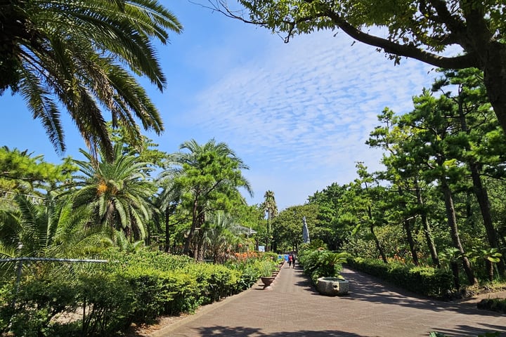 Tiket masuk Hallim Park di Jeju