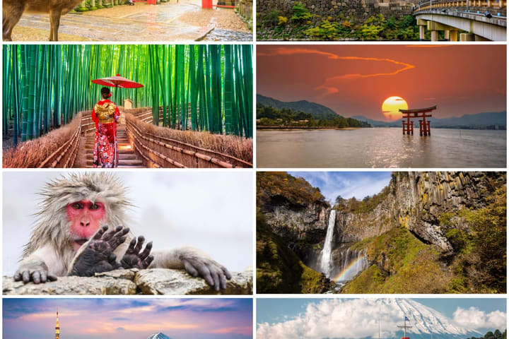 10 Day Japan Private Tour Unveiling Maximum Attractions