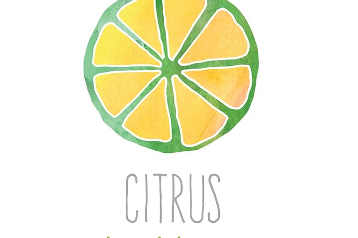 Citrus Health Spa & Massage Experience di Hoi An