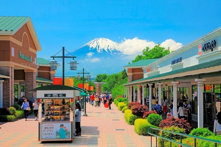 Tokyo Gotemba Premium Outlets and Mount Fuji Hot Spring Private Day Tour