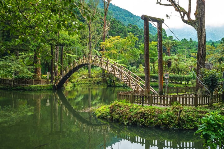 Tur Sehari ke Nantou Xitou Forest Recreation Area - Keberangkatan dari Taichung