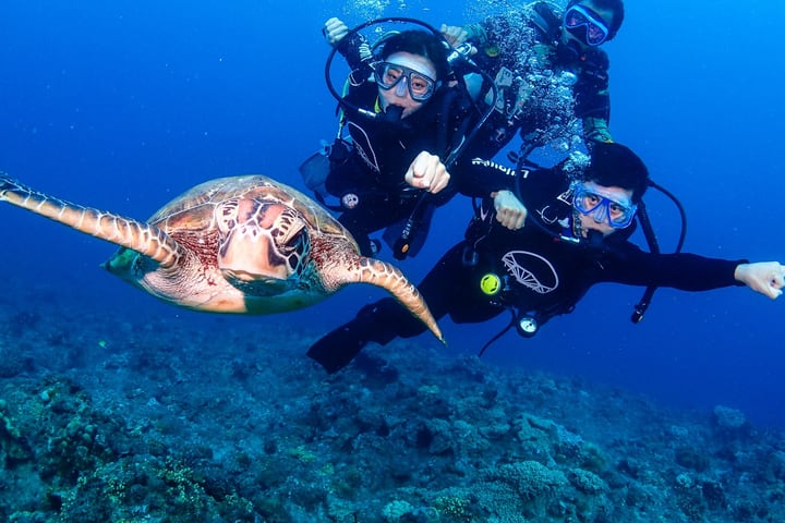 Liuqiu Dive - Pengalaman Scuba Diving