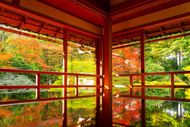 【滋贺深度游】美秀美术馆・旧竹林院or比叡山神社・琵琶湖白须神社水上鸟居（大阪 / 京都往返）