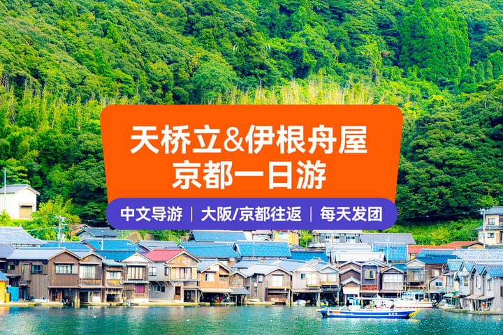 京都丹后海岸秘境【赠海鸥饵食】天桥立&伊根舟屋一日游 (大阪/京都出发)