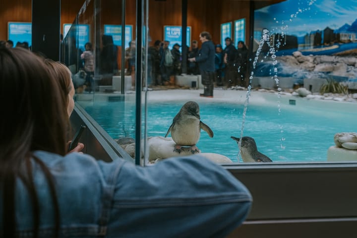 West Coast Wildlife Centre Admission Ticket