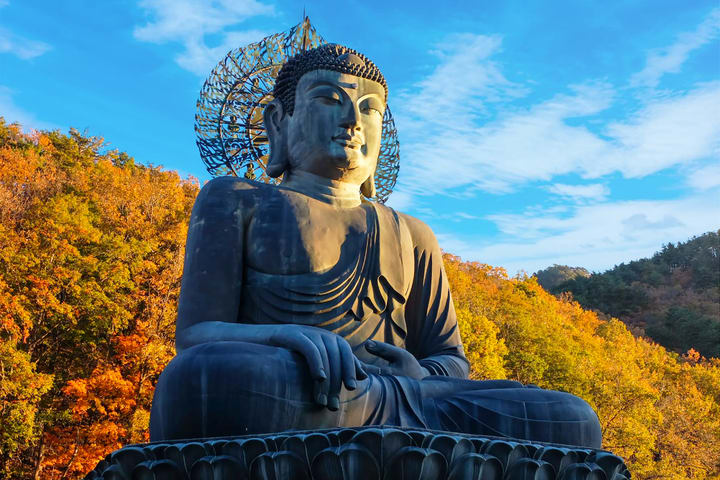 雪岳山国家公园 & 新兴寺一日游（首尔出发）