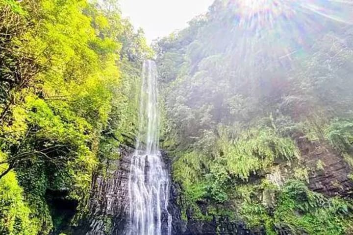 Yilan: Tur Seharian dengan Sistem Patungan - Zhangmei Amah Farm & Taman Pemanas Air Panas Qingshui & Pertanian Pengalaman Daun Bawang Xingbao (Penjemputan Hotel dari Taipei)