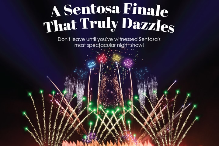 Wings of Time Fireworks Symphony Ticket in Singapore