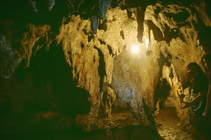 Bicol Underground River Private Tour