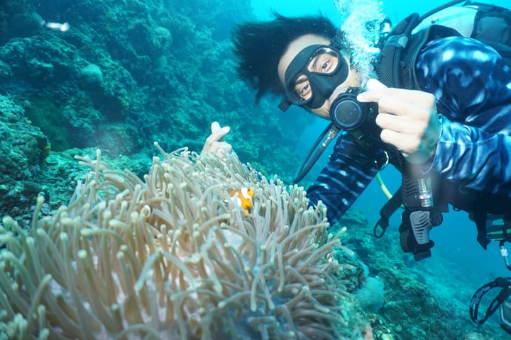 皮皮岛 PADI 潜水课程