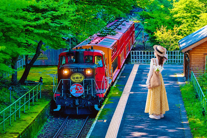 Tur Sehari Kyoto Arashiyama Nara | Memberi Makan Rusa di Taman Nara & Fushimi Inari dengan Seribu Gerbang Torii & Kereta Arashiyama & Jalan Setapak Bambu | Tur Berakhir di Kyoto atau Osaka