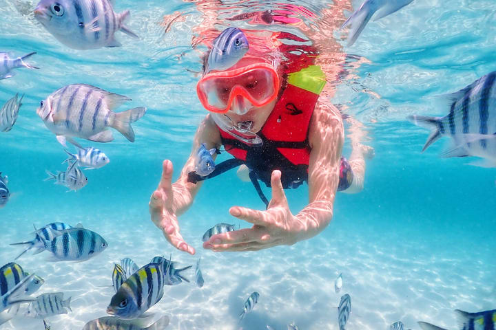 Dive into Nemo's World – Snorkeling Experience from Pattaya