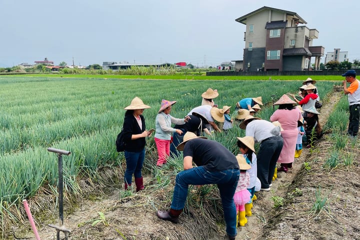 Yilan｜Cong Baobao Farm｜Sanxing Scallion Picking and DIY Experience