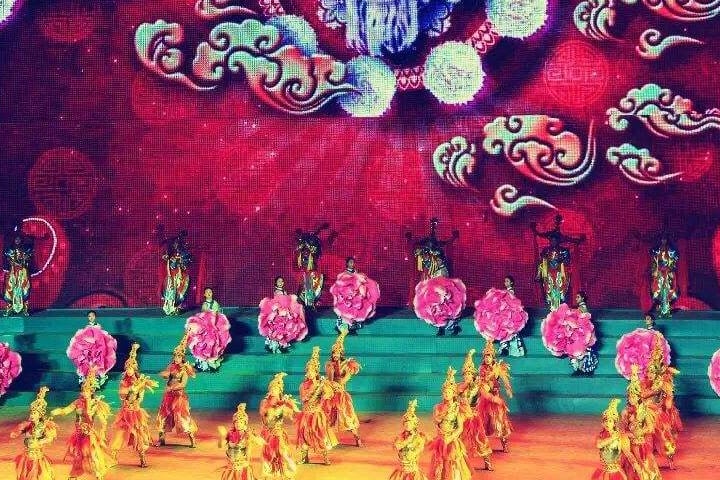 Xiamen Ancient Courtyard Folk Culture Garden & Penguin world & Legend of Southern Fujian Ticket