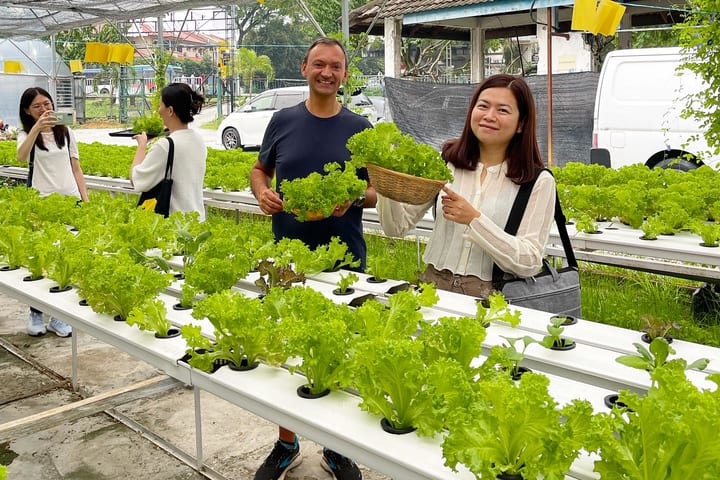 Utama Farm: Prawning & Fishing