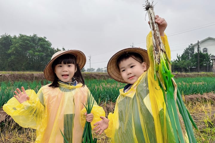 Yilan: Pengalaman di Sawah Daun Bawang Petani - Tur Setengah Hari Pengalaman Bertani Daun Bawang Sanxing