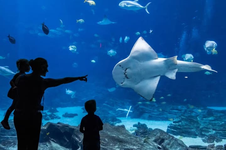 亚特兰大佐治亚水族馆门票