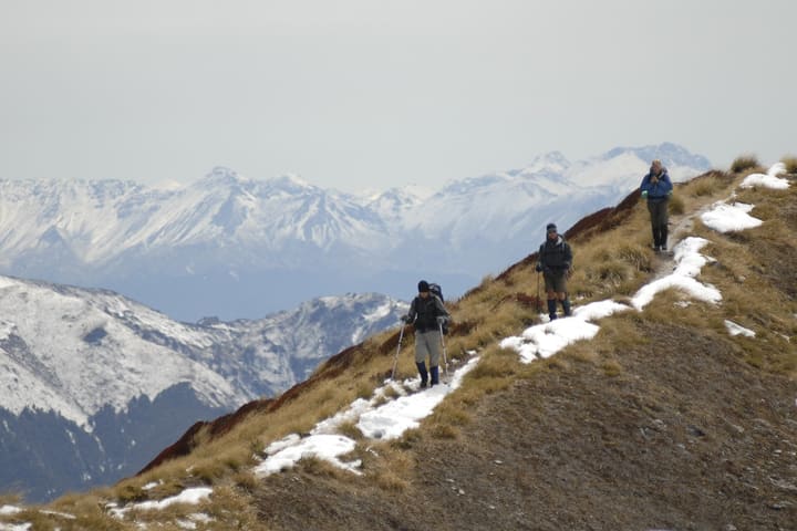 Fiordland Heli-Hike dari Te Anau