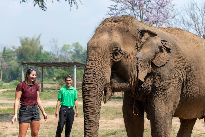 Elephant Sanctuary & Erawan Waterfall Full Day Tour dari Bangkok