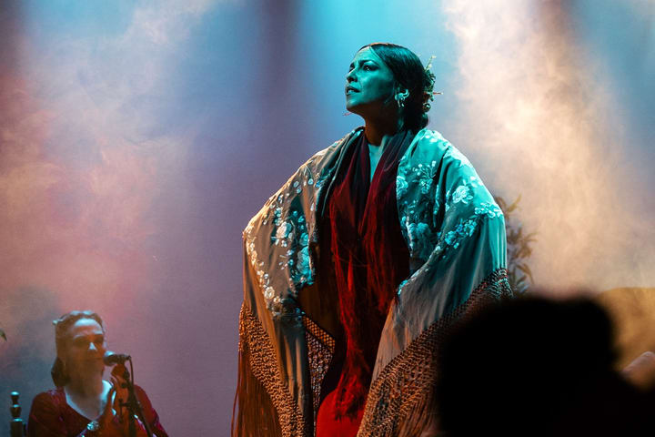 Flamenco Show Ticket at City Hall Theatre in Barcelona