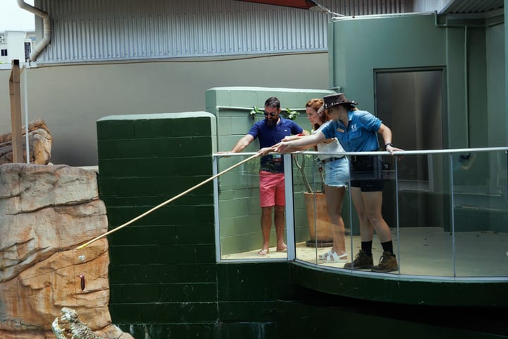 Big Croc Feeding & Guided Tour di Darwin