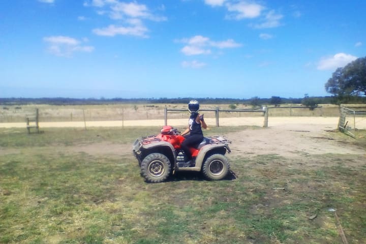 Tur Petualangan Quad Bike dari Melbourne