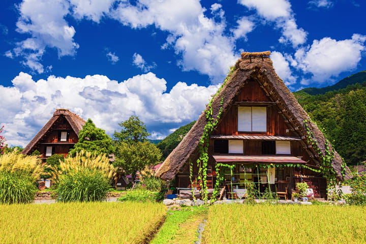 World Heritage Shirakawago & Takayama Private Tour dari Nagoya