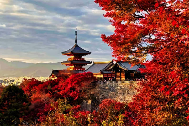 Tur wisata sehari penuh yang disesuaikan ke lokasi-lokasi populer di area Osaka/Kyoto/Nara/Uji/Kobe