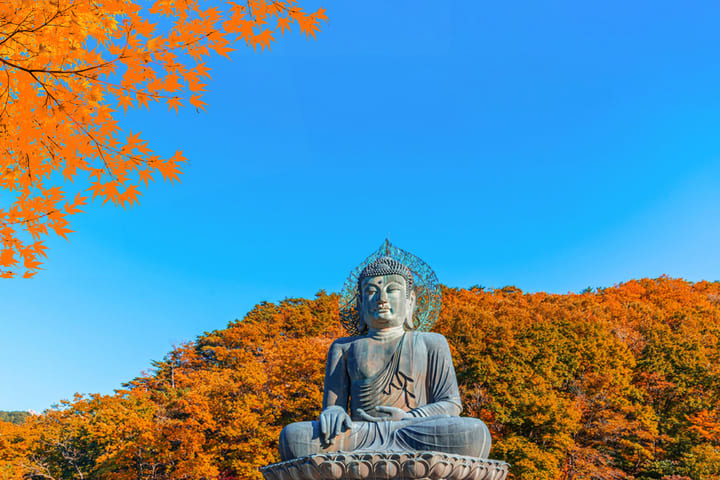 雪岳山国家公园赏枫一日游（首尔出发）