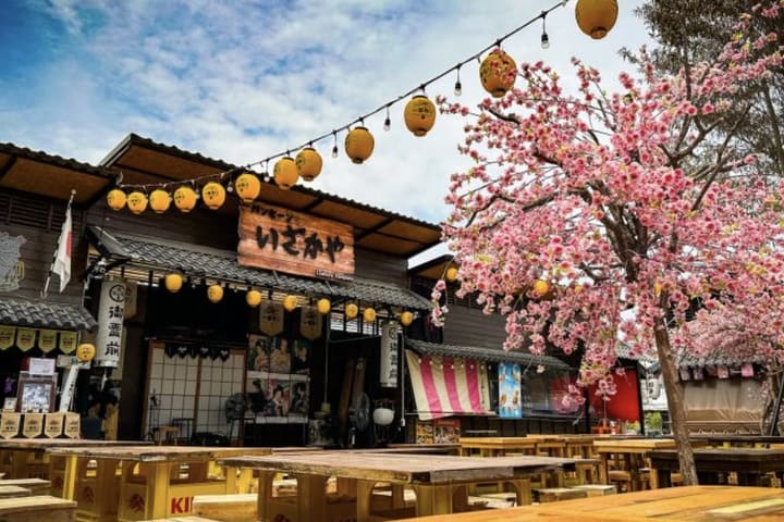 eSIM Gratis Bangsaen Gaya Jepang Tersembunyi (Airplane Cafe, Pasar Ikan)
