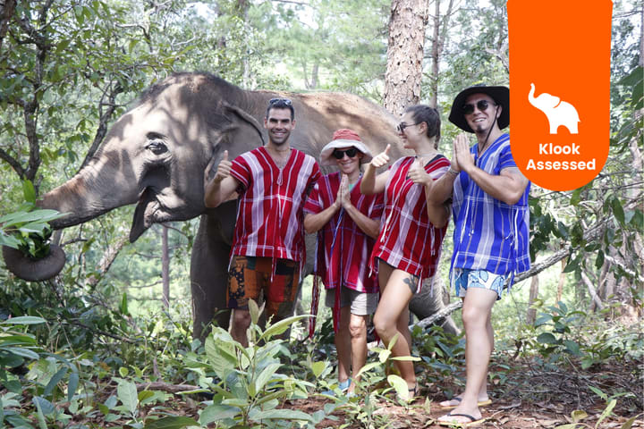 Elephant Sanctuary di Chiang Mai oleh Elephant Dream Project
