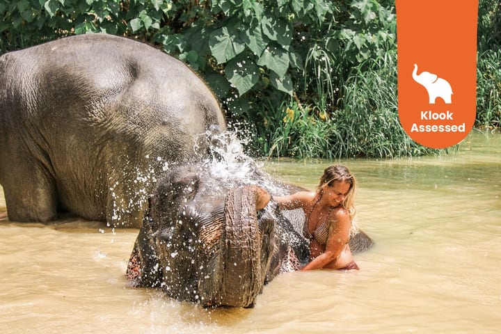 Aonang Elephant Sanctuary Experience
