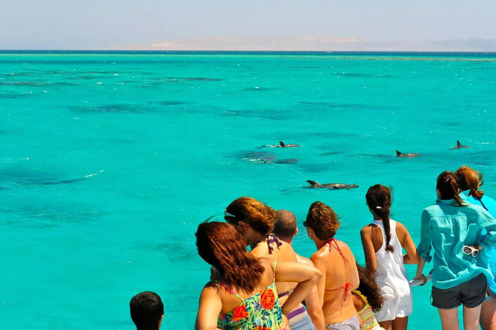 Key West: Dolphin Watching, Snorkeling, dan Sunset Cruise