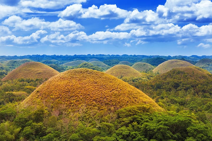 Bohol Chocolate Hills, Tarsier & River Cruise Experience