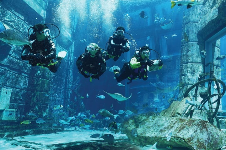 迪拜失落空间水族馆水肺潜水体验