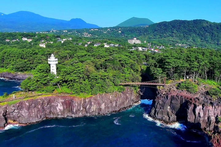 [Izu Ocean View Day Trip] Jogasaki Coast & Ocean View Train & Mt. Omuro/Izu Cactus Zoo｜Departure from Tokyo