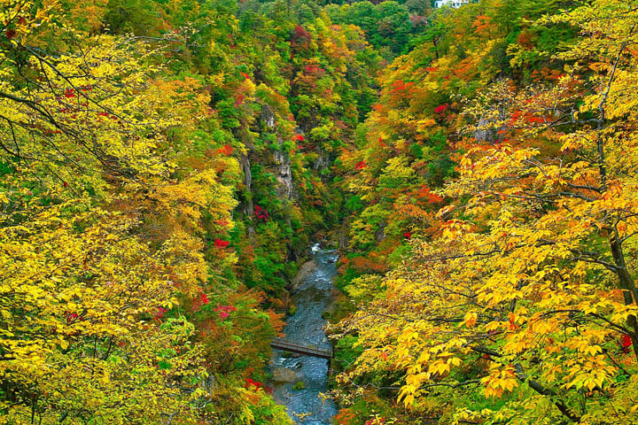 Tur Daun Musim Gugur Ngarai Naruko & Ginzan Onsen Sendai