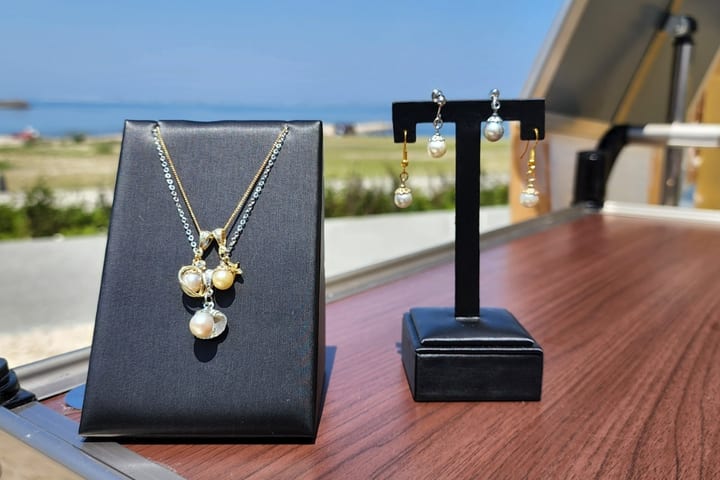Akoya Pearl Harvesting Experience (Osaka)