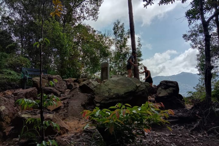 Taman Negara National Park Trekking Join-In Day Tour