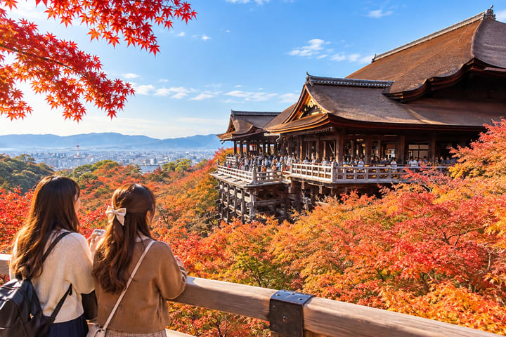 【大阪・京都出发】金阁寺＆岚山竹林渡月桥＆三十三间堂＆清水寺二年坂三年坂世界遗产古都京都一日游(可升级独家A5顶级神户牛)