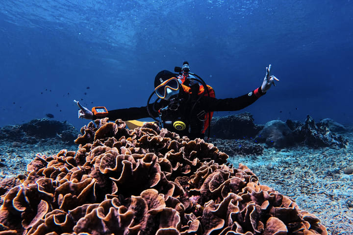 Scuba Diving at Nusa Lembongan and Nusa Penida for Certified Diver