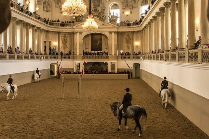 Spanish Riding School Horse Training Session in Vienna