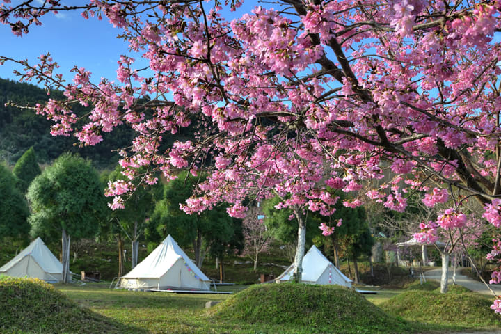 Berkemah di Hsinchu｜Cintai Chateau Sion｜Glamorous Camping Satu Malam Tiga Kali Makan・Dua Kali Makan