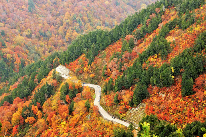 Hakusan Shirakawa-go White Road & Shirakawago One-day UNESCO site & Autumn Tour
