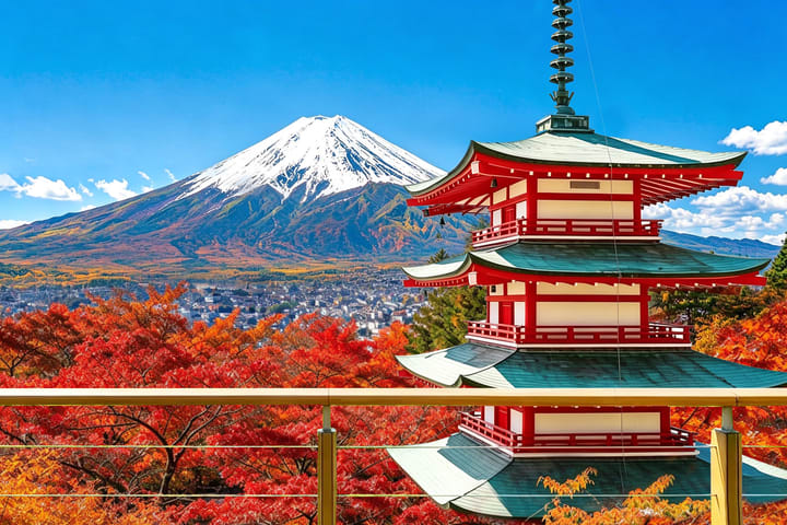 【富士山绝景摄影一日游】新仓山五重塔&河口湖大石公园&忍野八海&INS罗森&日川时计店（东京出发）