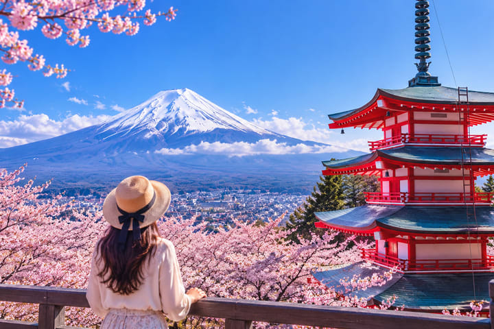 Dari Tokyo: One Day Private Tour ke Gunung Fuji dan Hakone