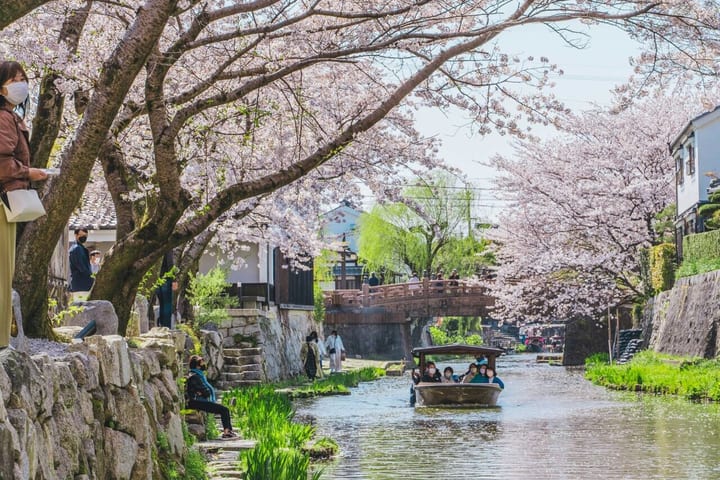 1-Day Tour: Castles & Canals in Hikone & Omi Hachiman (from Nagoya)