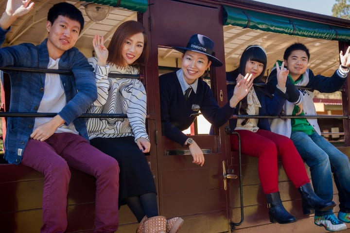 Puffing Billy Half Day Steam Train Tour