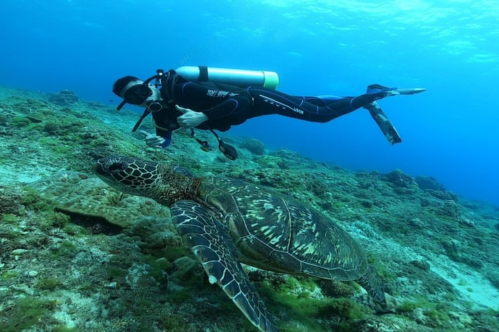 Bear Diving - Selam Scuba Wisata Pantai di Xiao Liuqiu (Membutuhkan Lisensi Menyelam)