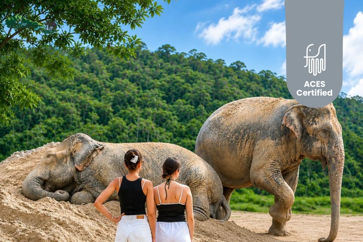 Freedom Elephant Reserve Phuket